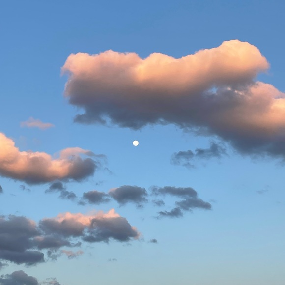 Meet your Posher, Jesica - Picture 1 of 1